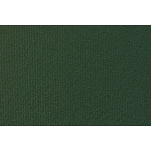 CART. Li/Ru 50x70 gr.220 VERDE ABETE