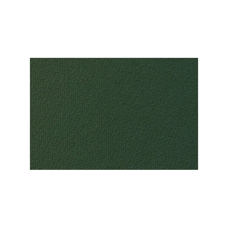 CART. Li/Ru 50x70 gr.220 VERDE ABETE