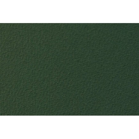 CART. Li/Ru 50x70 gr.220 VERDE ABETE