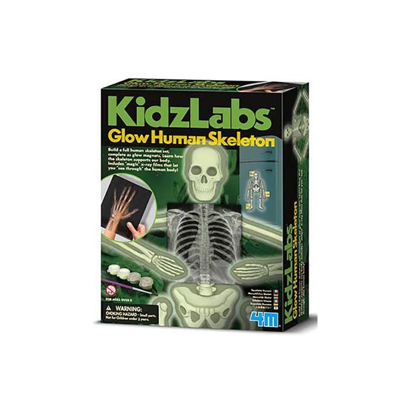 KIT HUMAN SKELETON FLUORESCENTE