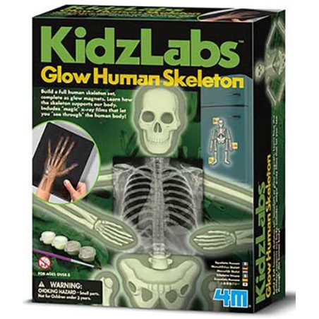 KIT HUMAN SKELETON FLUORESCENTE