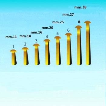 FERMACAMPIONI mm.38 - pz.100